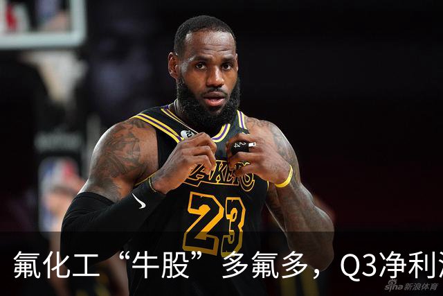 氟化工“牛股”多氟多，Q3净利润环比下降41%，股价较年内高点回撤56%