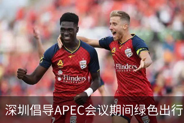 深圳倡导APEC会议期间绿色出行灵活上班